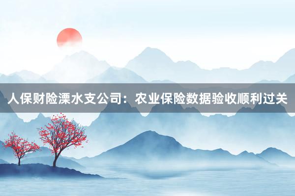 人保财险溧水支公司：农业保险数据验收顺利过关