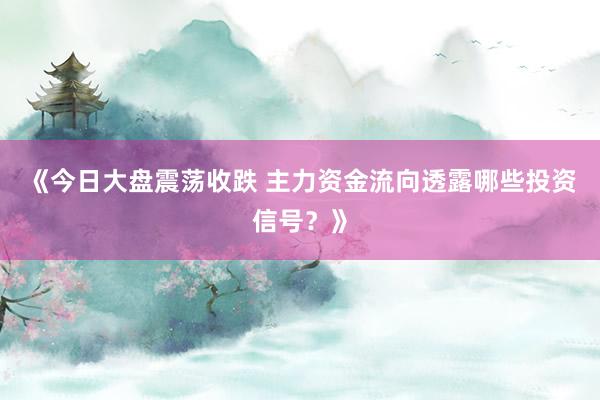 《今日大盘震荡收跌 主力资金流向透露哪些投资信号？》