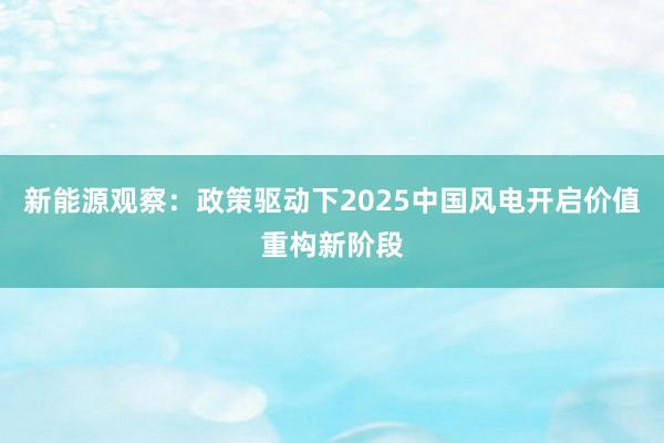 新能源观察：政策驱动下2025中国风电开启价值重构新阶段