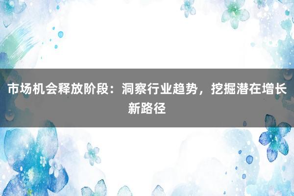 市场机会释放阶段：洞察行业趋势，挖掘潜在增长新路径