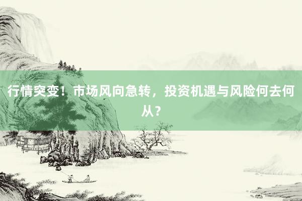 行情突变！市场风向急转，投资机遇与风险何去何从？