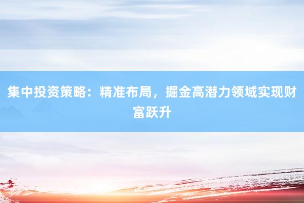 集中投资策略：精准布局，掘金高潜力领域实现财富跃升