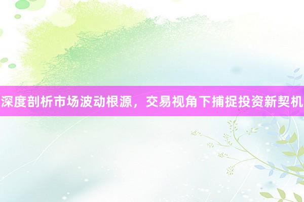 深度剖析市场波动根源，交易视角下捕捉投资新契机