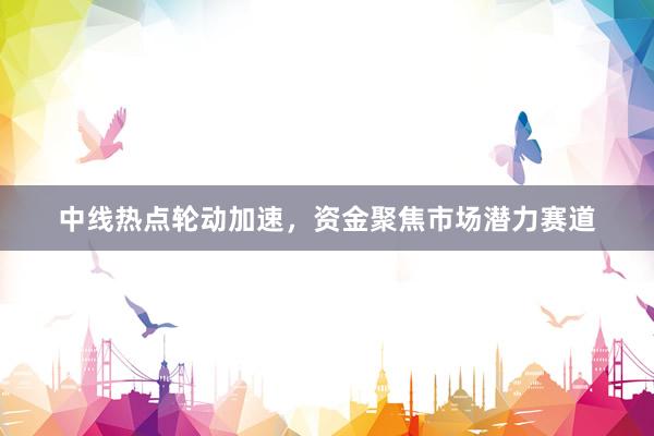 中线热点轮动加速，资金聚焦市场潜力赛道