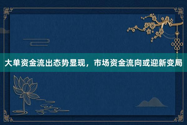 大单资金流出态势显现，市场资金流向或迎新变局