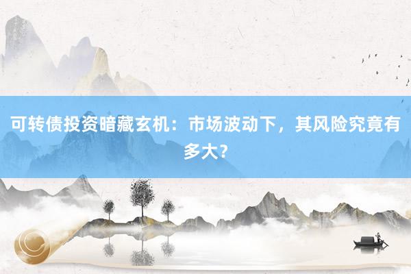 可转债投资暗藏玄机：市场波动下，其风险究竟有多大？
