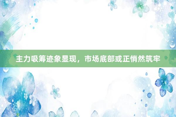 主力吸筹迹象显现，市场底部或正悄然筑牢
