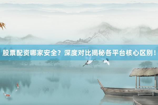 股票配资哪家安全？深度对比揭秘各平台核心区别！