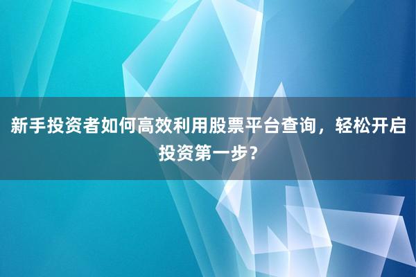 新手投资者如何高效利用股票平台查询，轻松开启投资第一步？