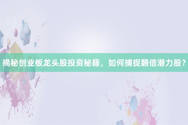 揭秘创业板龙头股投资秘籍，如何捕捉翻倍潜力股？
