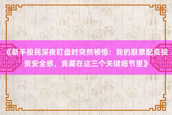《新手股民深夜盯盘时突然顿悟：我的股票配资投资安全感，竟藏在这三个关键细节里》